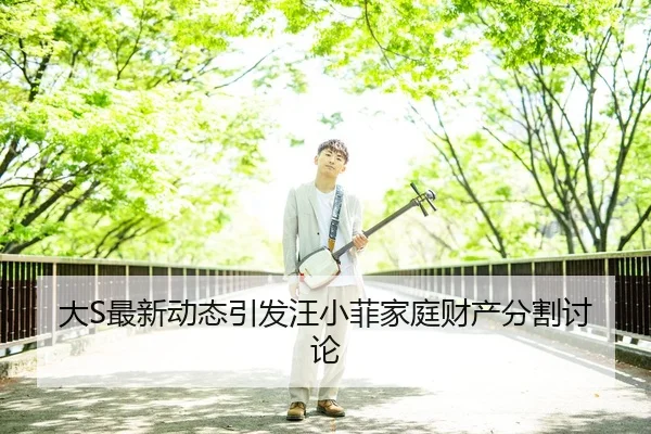 大S最新动态引发汪小菲家庭财产分割讨论